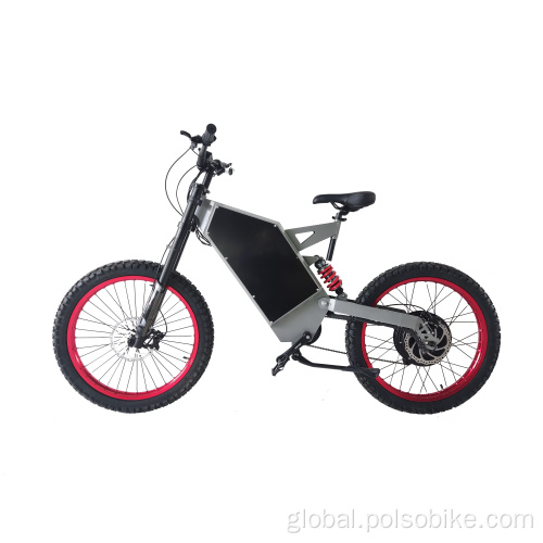 Electric Motorcycle SS30 3/5/8KW 12KW Electric Motorbike Aluminum Frame E-Bike Supplier